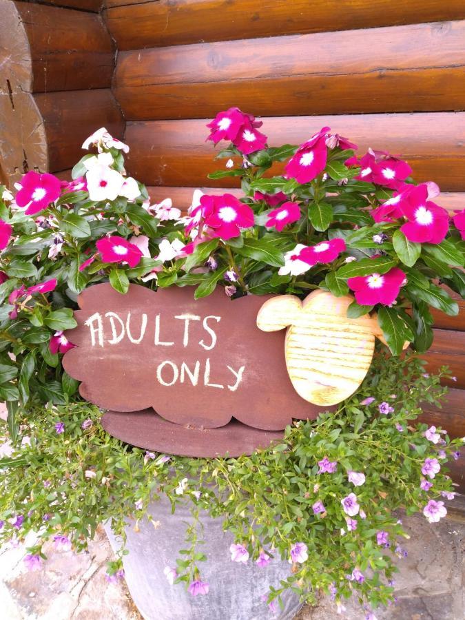 Au Paradou Du Bucheron Adults Only Lessive Kültér fotó